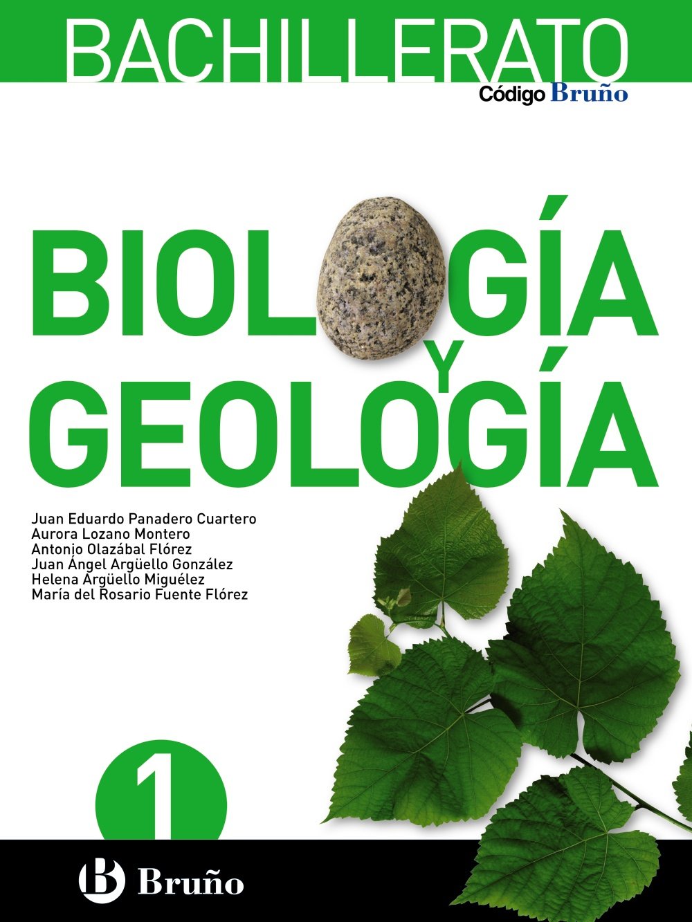 Solucionario Biologia y Geologia 1 Bachillerato Bruño